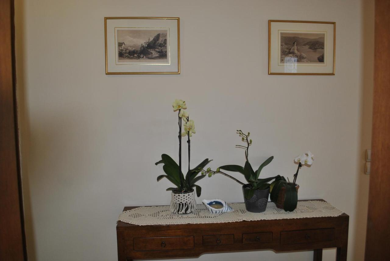 Amaryllis House Apartment ปาร์กา ภายนอก รูปภาพ