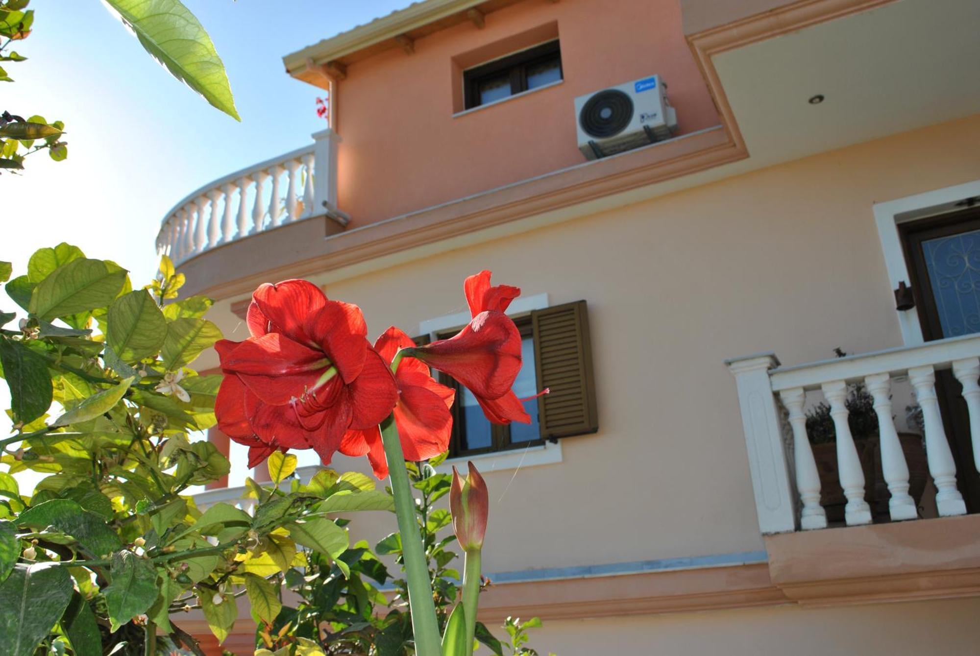 Amaryllis House Apartment ปาร์กา ภายนอก รูปภาพ