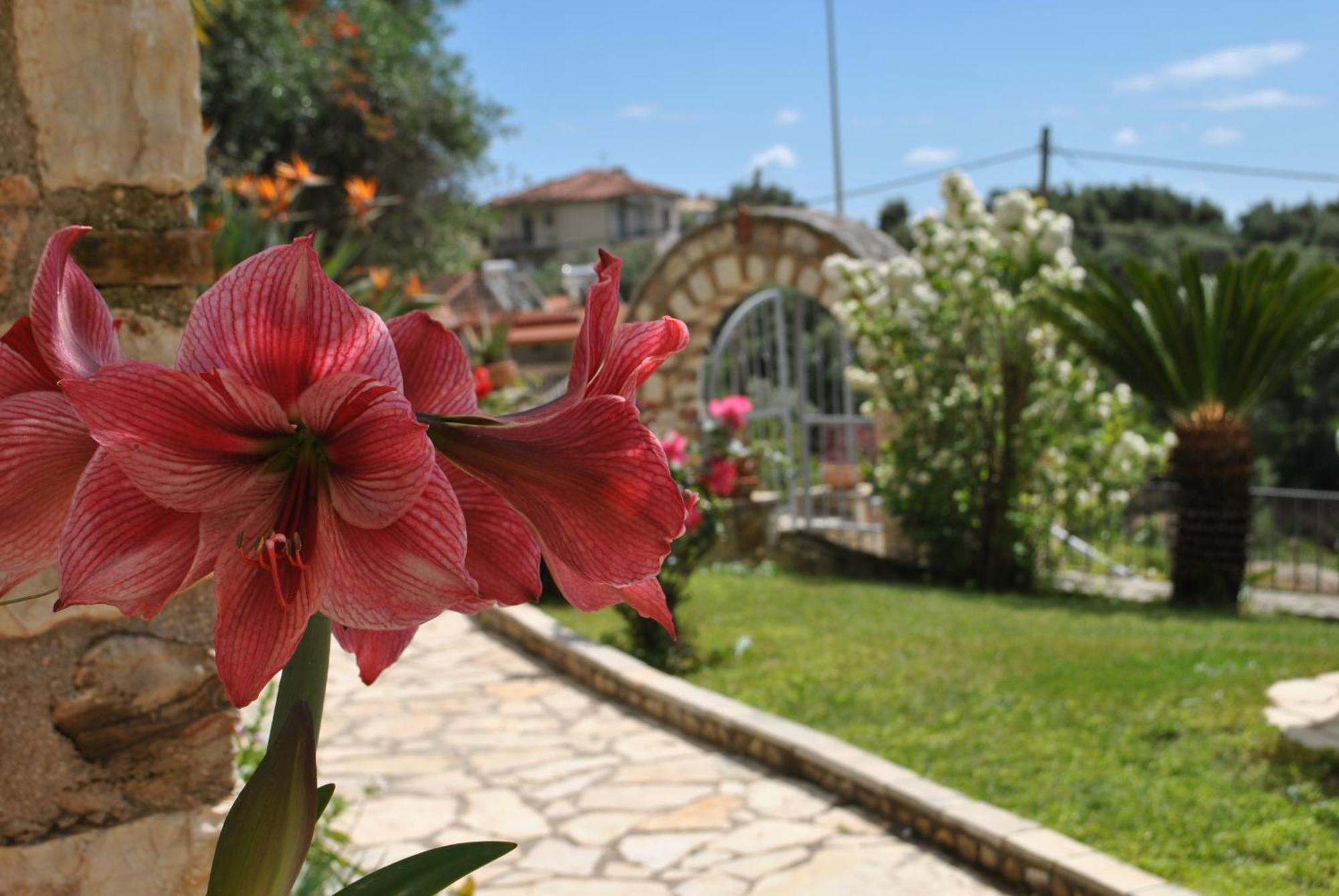 Amaryllis House Apartment ปาร์กา ภายนอก รูปภาพ
